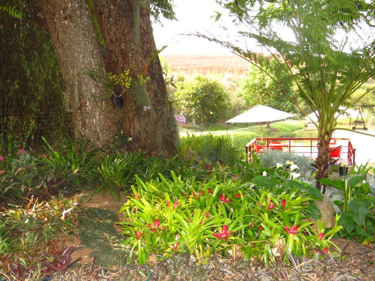Eden Cottage White River Esterno foto